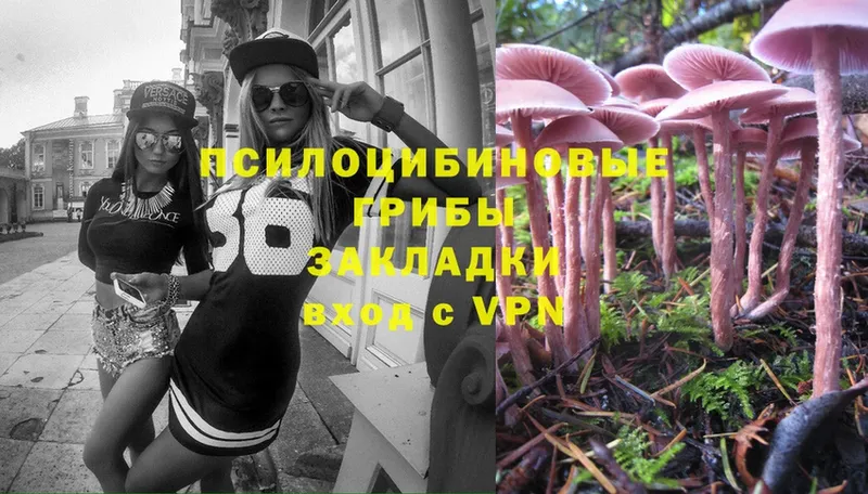 Псилоцибиновые грибы MAGIC MUSHROOMS  кракен маркетплейс  Приморско-Ахтарск 